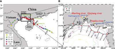 Different Responses of Chlorophyll a to the Passage of the Tropical Storm Wipha (2019) in the Coastal Waters of the Northern Beibu Gulf